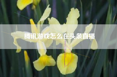 腾讯游戏怎么在头条直播