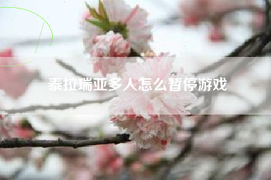 泰拉瑞亚多人怎么暂停游戏