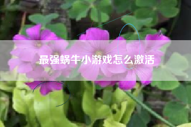 最强蜗牛小游戏怎么激活