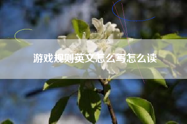 游戏规则英文怎么写怎么读