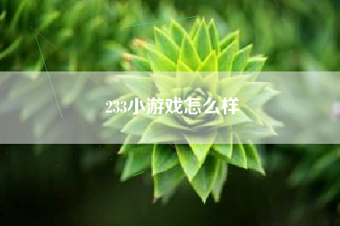 233小游戏怎么样