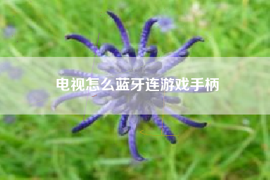 电视怎么蓝牙连游戏手柄