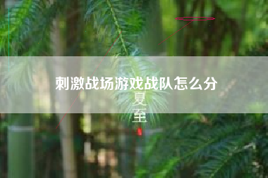 刺激战场游戏战队怎么分