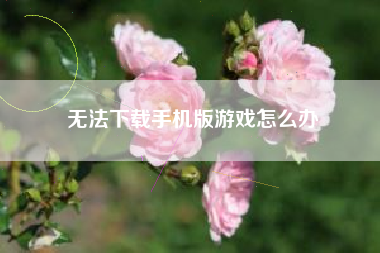 无法下载手机版游戏怎么办