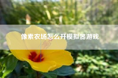 像素农场怎么开模拟器游戏