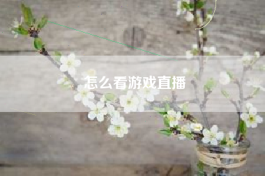 怎么看游戏直播