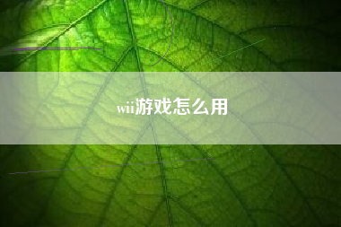 wii游戏怎么用