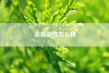 巫医游戏怎么样