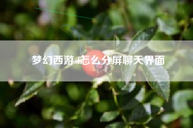梦幻西游sf怎么分屏聊天界面