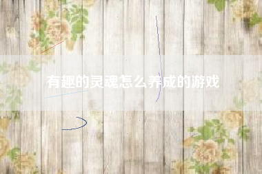 有趣的灵魂怎么养成的游戏