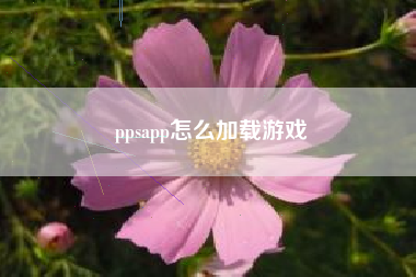 ppsapp怎么加载游戏