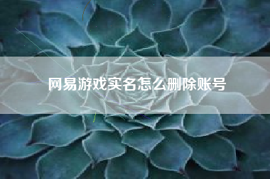 网易游戏实名怎么删除账号