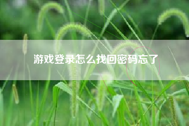 游戏登录怎么找回密码忘了