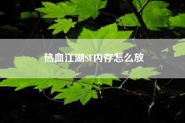 热血江湖SF内存怎么放