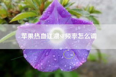 苹果热血江湖SF频率怎么调