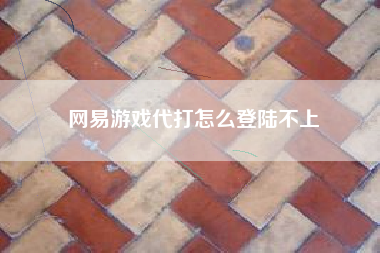 网易游戏代打怎么登陆不上