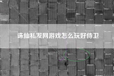 诛仙私发网游戏怎么玩好侍卫