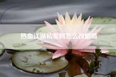 热血江湖私发网怎么改剧情
