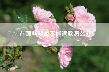 有哪些游戏不能退款怎么办