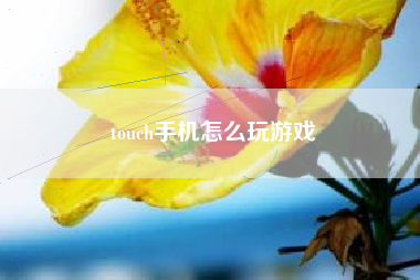 touch手机怎么玩游戏