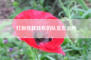 打游戏就挂机的队友怎么办