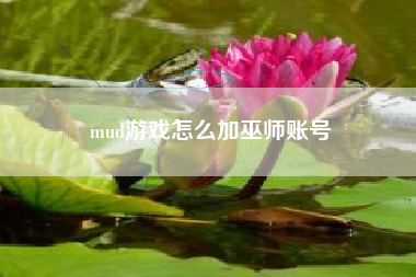 mud游戏怎么加巫师账号