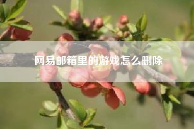 网易邮箱里的游戏怎么删除
