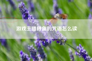 游戏主播鲤鱼的咒语怎么读