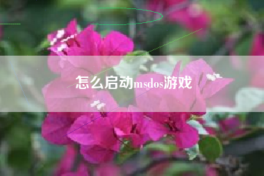 怎么启动msdos游戏