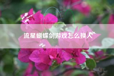 流星蝴蝶剑游戏怎么换人