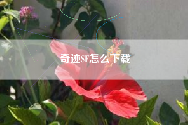 奇迹SF怎么下载