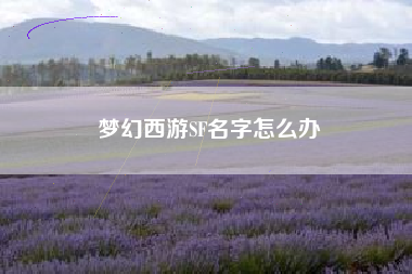 梦幻西游SF名字怎么办