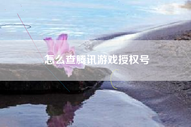 怎么查腾讯游戏授权号