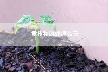 竞技和游戏怎么玩