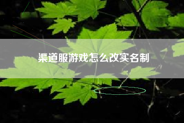 渠道服游戏怎么改实名制