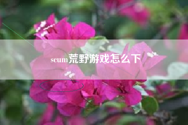 scum荒野游戏怎么下