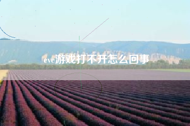 eve游戏打不开怎么回事