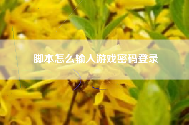 脚本怎么输入游戏密码登录