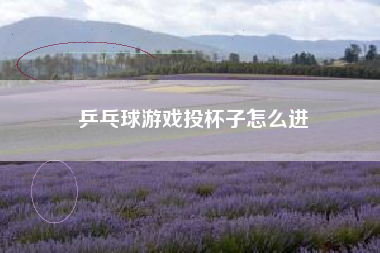 乒乓球游戏投杯子怎么进