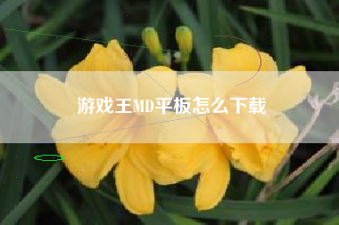游戏王MD平板怎么下载