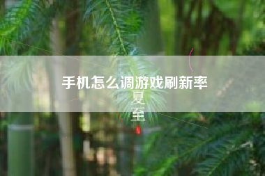 手机怎么调游戏刷新率
