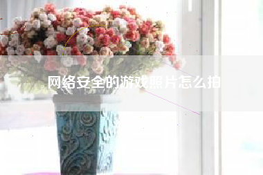 网络安全的游戏照片怎么拍