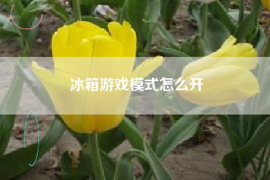 冰箱游戏模式怎么开