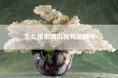 怎么搜索西瓜视频游戏号