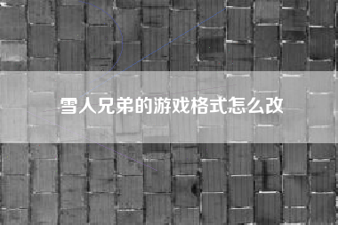 雪人兄弟的游戏格式怎么改