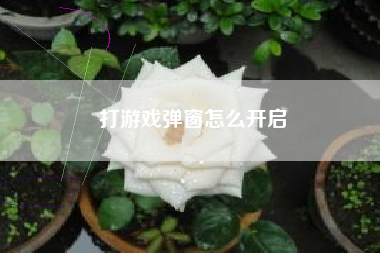 打游戏弹窗怎么开启