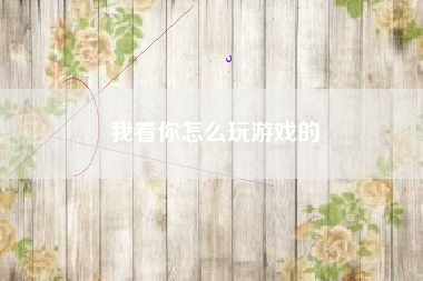 我看你怎么玩游戏的