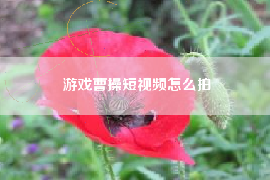 游戏曹操短视频怎么拍