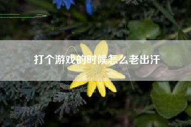 打个游戏的时候怎么老出汗