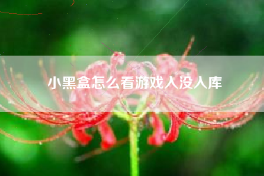 小黑盒怎么看游戏入没入库